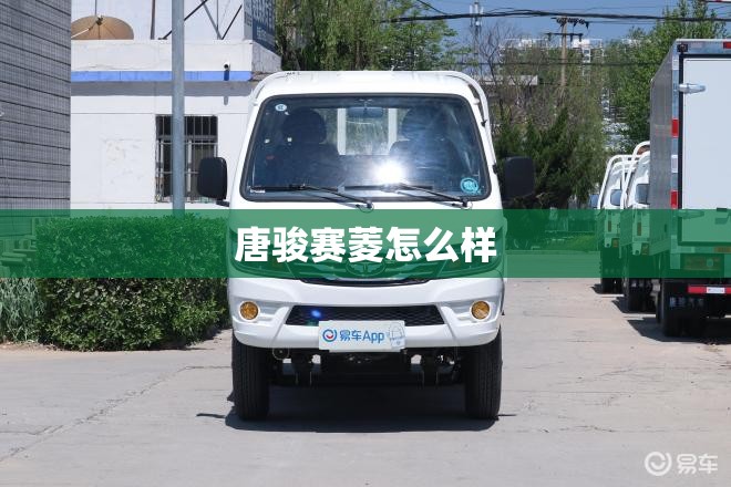 唐骏赛菱怎么样