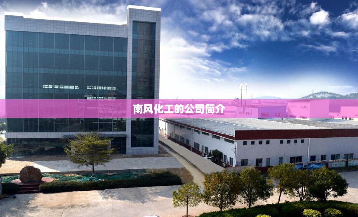 南风化工的公司简介