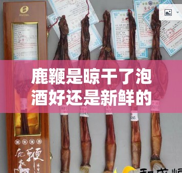 鹿鞭是晾干了泡酒好还是新鲜的泡酒好