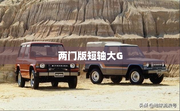 两门版短轴大G